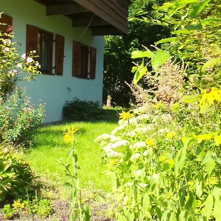 Griselda * Kitzbuhel